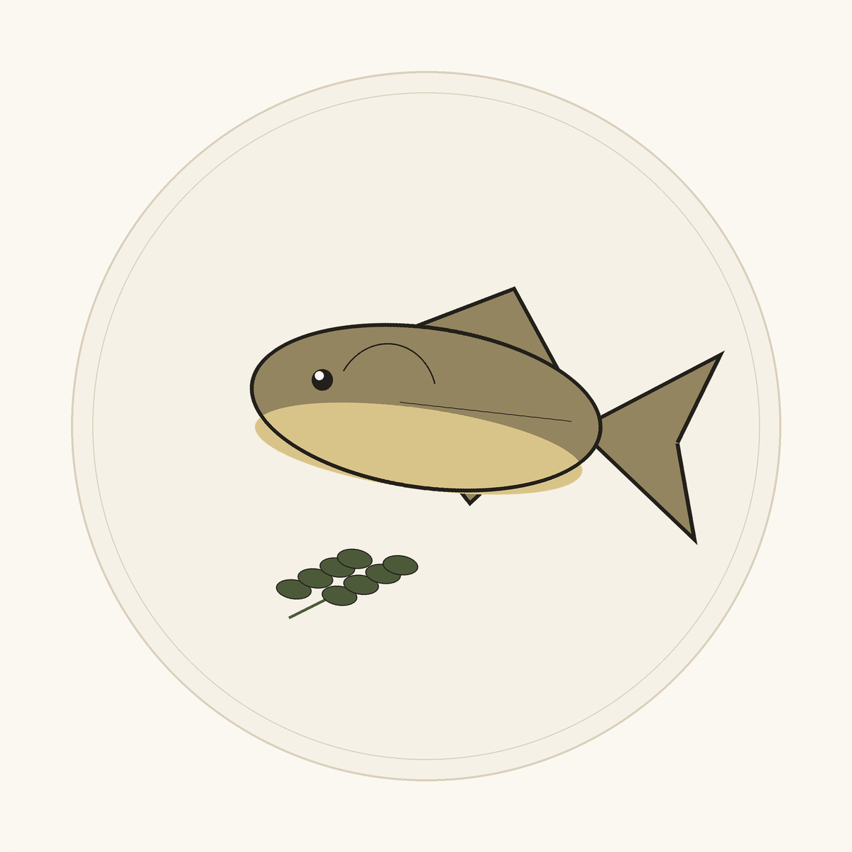 Whole fresh gilt-head bream on a paper plate