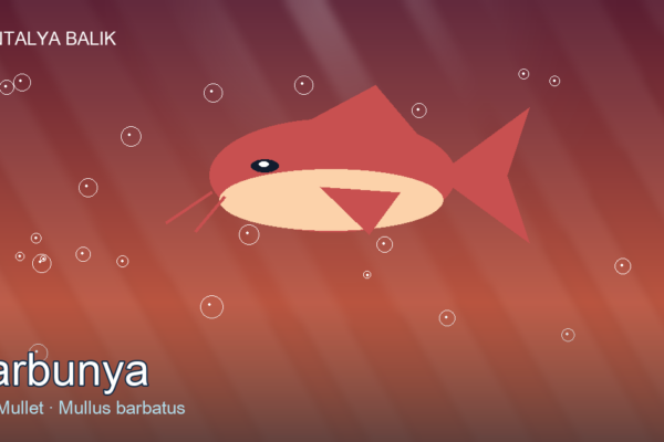 Barbunya — The Ruby of the Aegean
