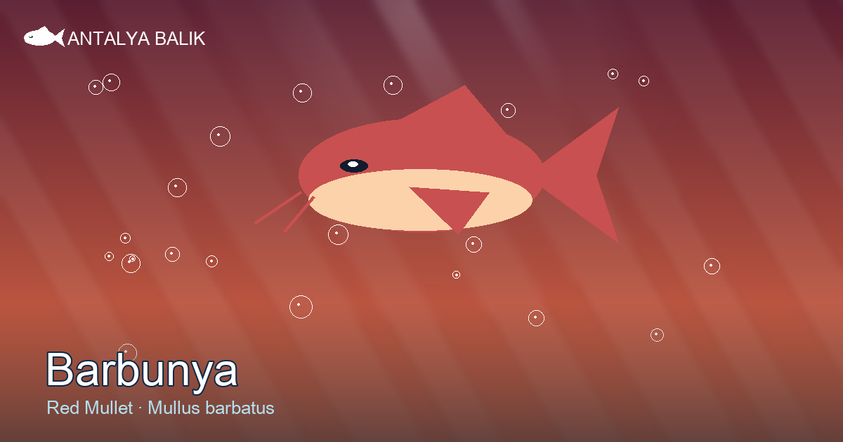 Barbunya — The Ruby of the Aegean