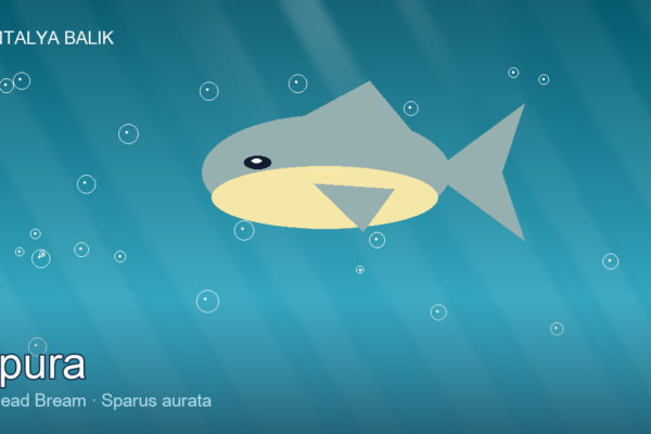Çipura — The Golden-Browned Bream