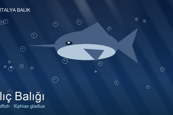 Kılıç Balığı — The Gladiator of the Deep
