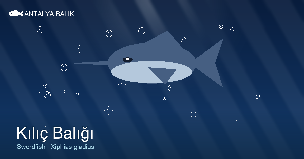 Kılıç Balığı — The Gladiator of the Deep