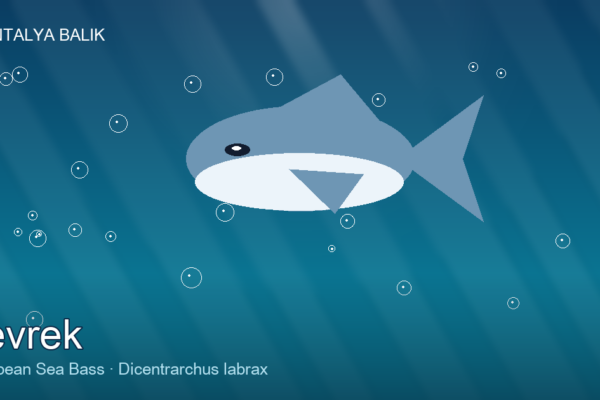 Levrek — The King of the Mediterranean