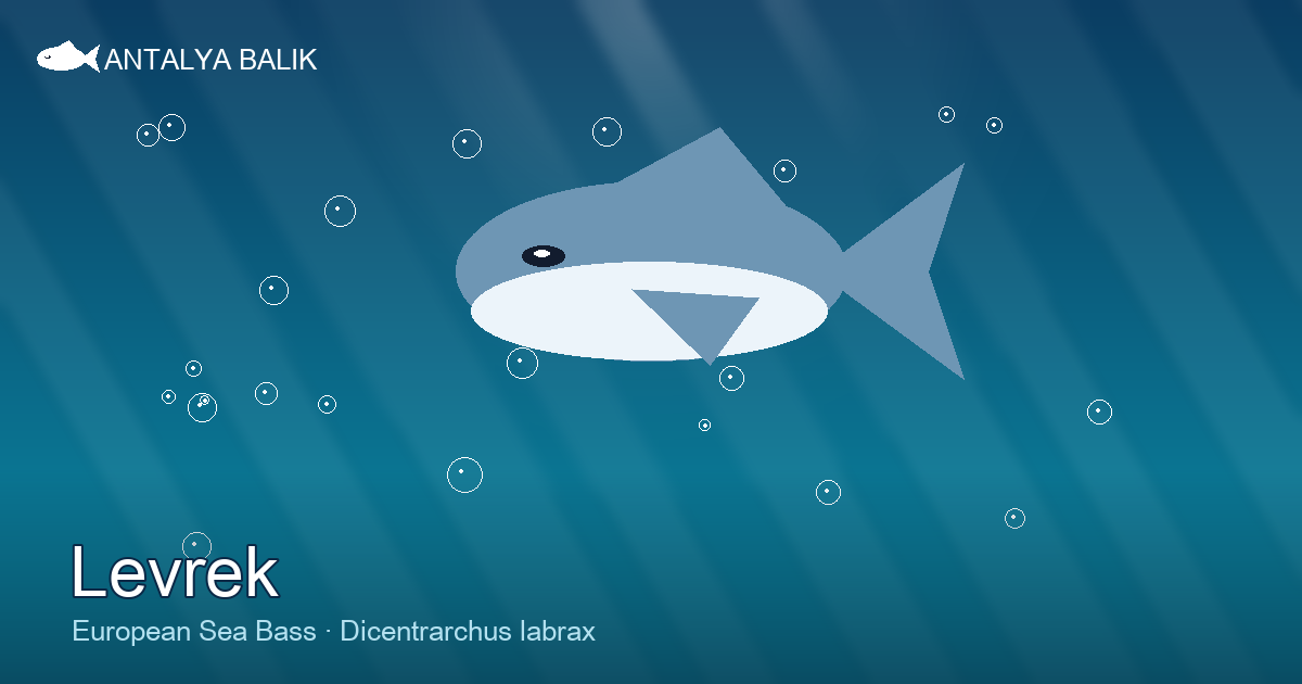 Levrek — The King of the Mediterranean